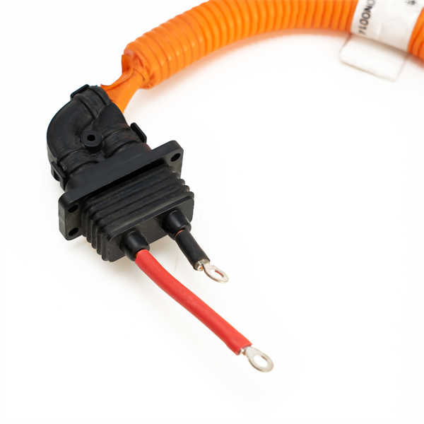 EV Step-down DC Positive Output Cable Wire Harness High Voltage Air Conditioning Compressor Module Cable